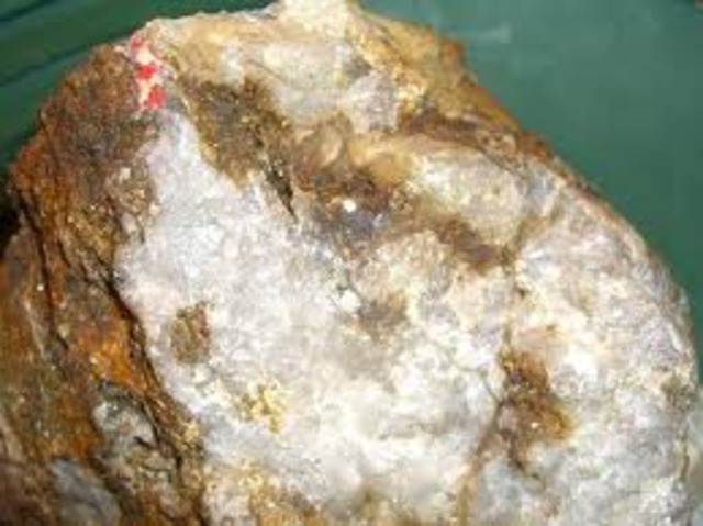 Mr. W. Campbell Finds Gold