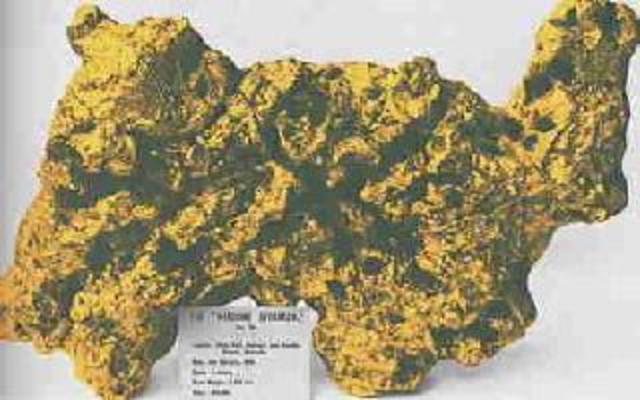 The Welcome Stranger