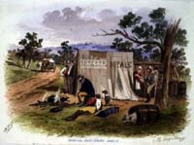 The bane of the diggings