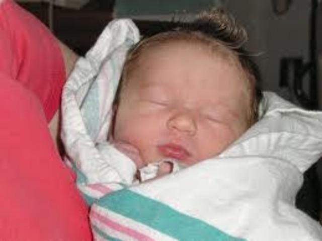 Prenatal Development and Birth