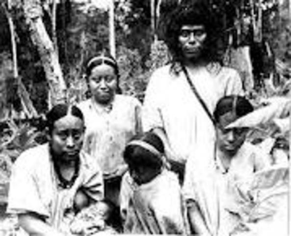 Rebeliones indigenas