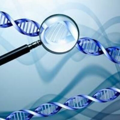 Timeline: Important Moments in Biology