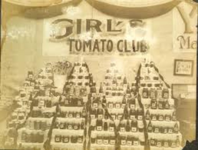 Girl's Tomato club AHEA
