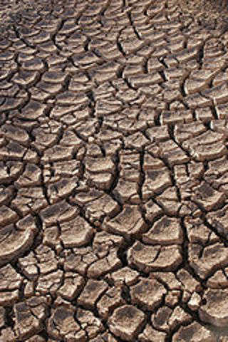 Drought