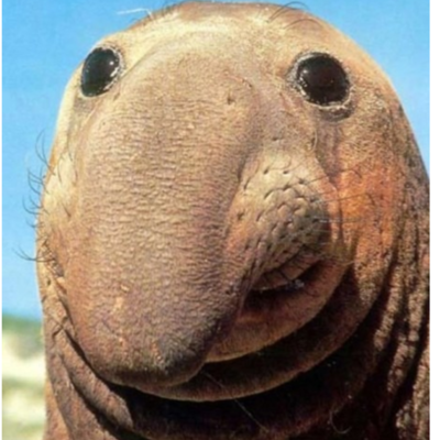 Timeline: Technology Timeline