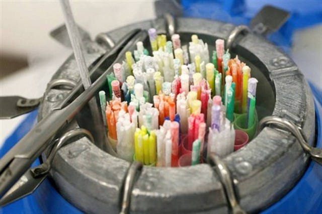 Première banque de conservation