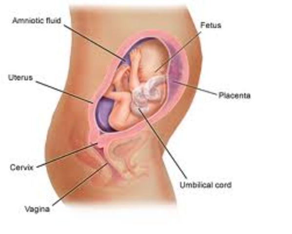 Month 6- Mother and Baby