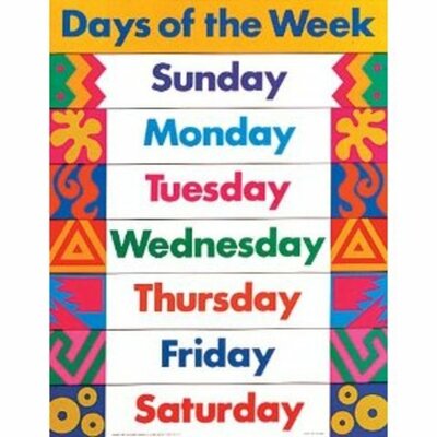 Timeline: Daily Routine