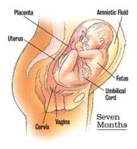 Month 7- Mother and Baby