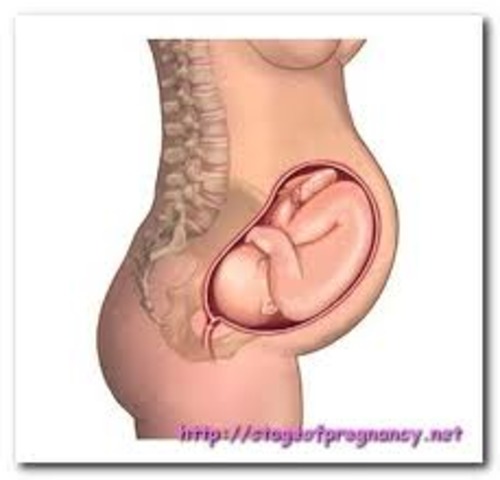 Month 8- Mother and Baby