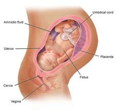 Month 9- Mother and Baby