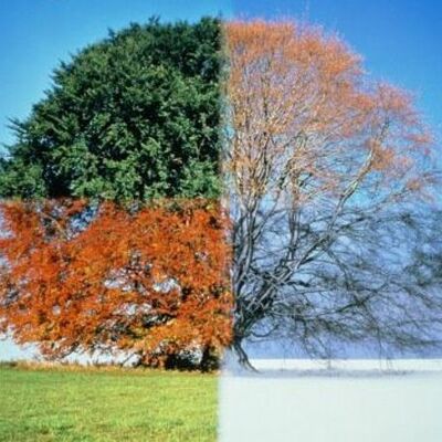 Timeline: The Weather of the Seasons