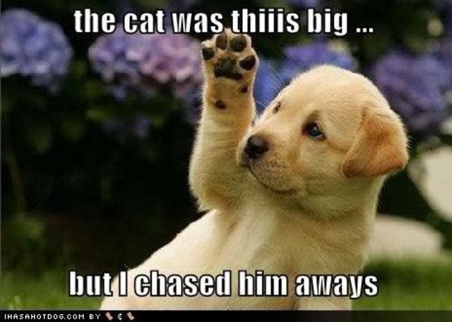 Supressing Black Vote