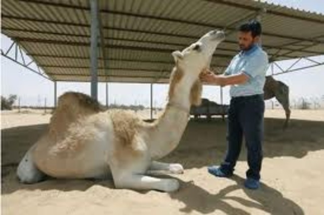 Huge start up for biotech companies