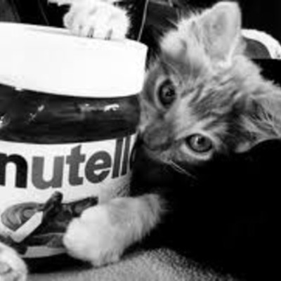 Timeline: Go to college.