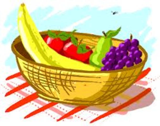 Studying Fruit Flies