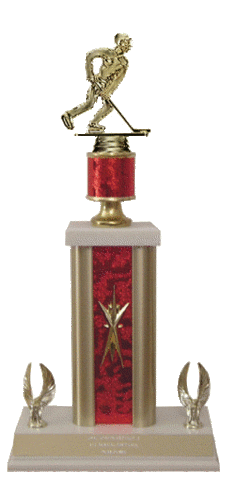 I won my frist hockey champonship