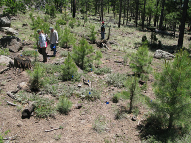 Transcontinental Air Transport plane crashes on Mt. Taylor