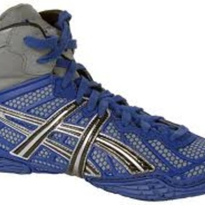 Timeline: Goal setting timeline for new wrestling shoes that cost $120 dollars before January 1st. I will attain this by saving money and deposit money from my paycheck and also by saving my money from christmas.