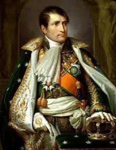 Napoleon Takes Control Over France