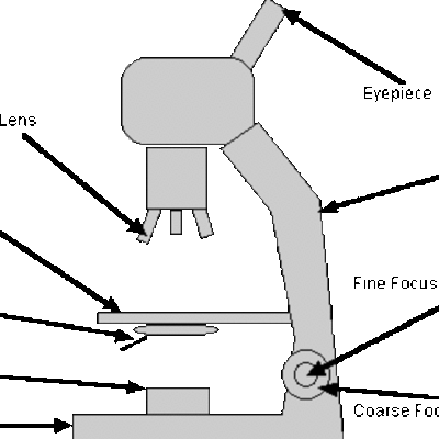 Timeline: Cole Cunningham, Madison Hart, Ian McRay Timeline