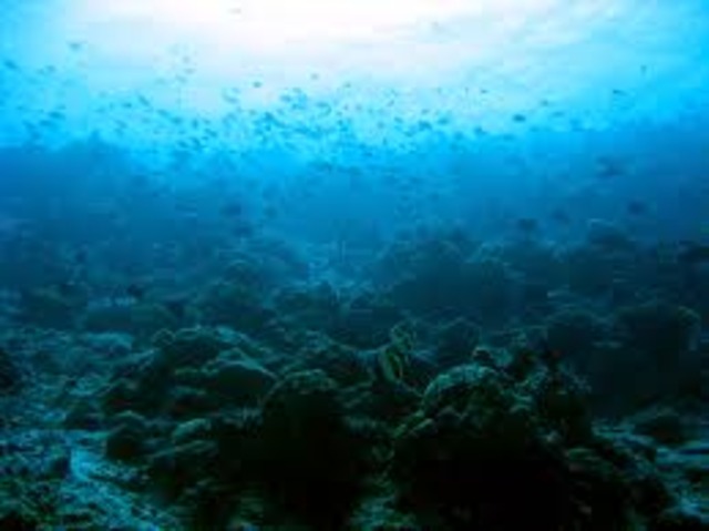 John Ernest Williamson