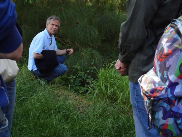 Tra le piante di papiro