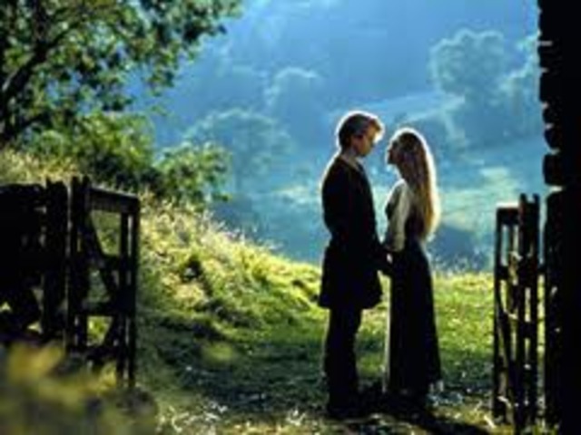 3- She falls in love with him and they get together.