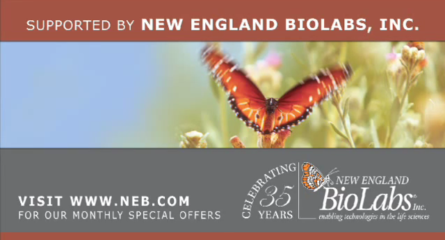 Video about iPS Cells is Created