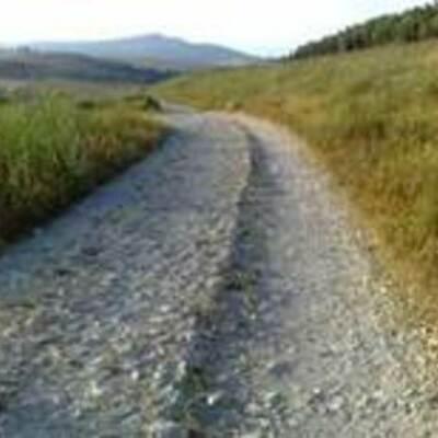 Timeline: History In The Making.!