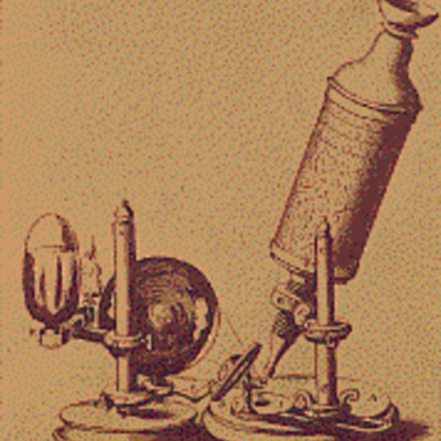 Timeline: Reece's timeline thingymajjiggy