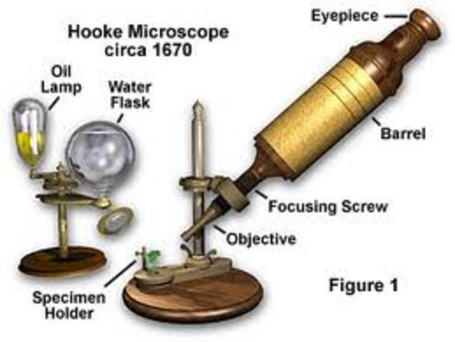 Microscope
