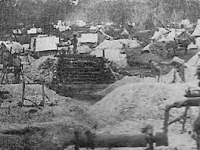 The Richest Goldfield