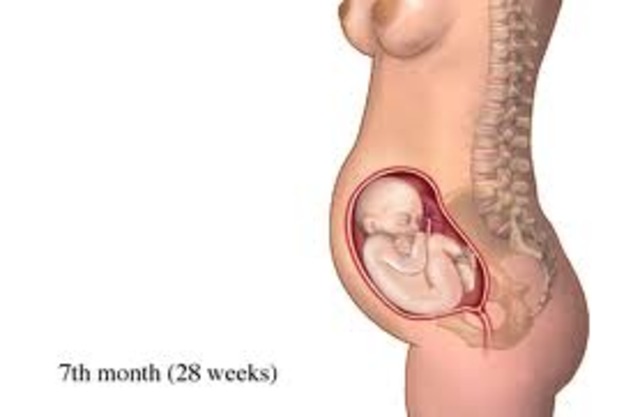Month 7 - Baby