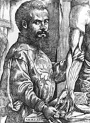 Andreas Vesalius (31st December 1514 - 15th October 1564)