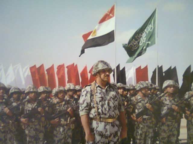 الدفاع المشترك