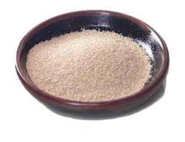 Washington University