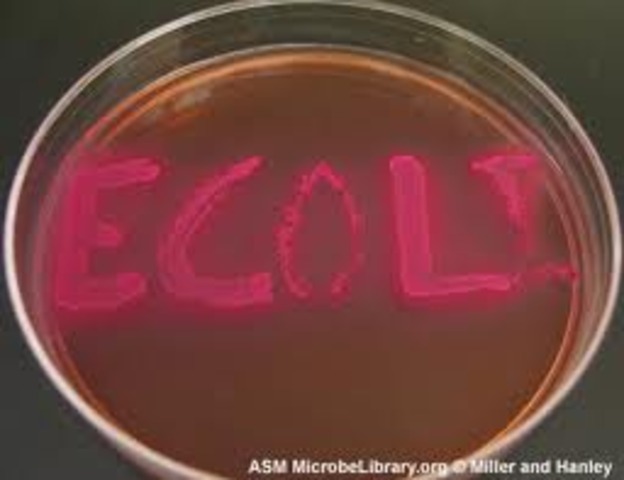 Present: Recombiant DNA Technology and Beyond