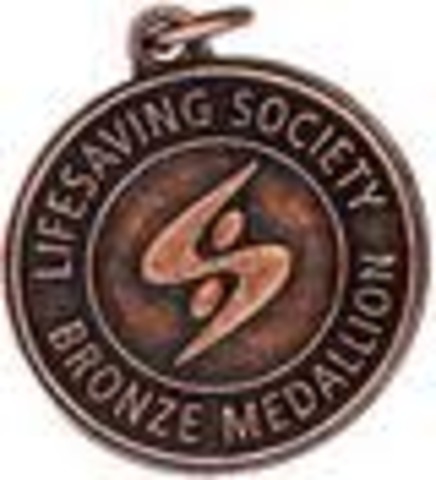 Bronze Medallion