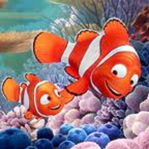 Nemo and his Dad are introduced.  They live on the Coral Reef.