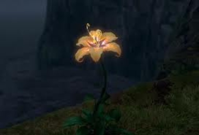 Soldiers look for magic flower