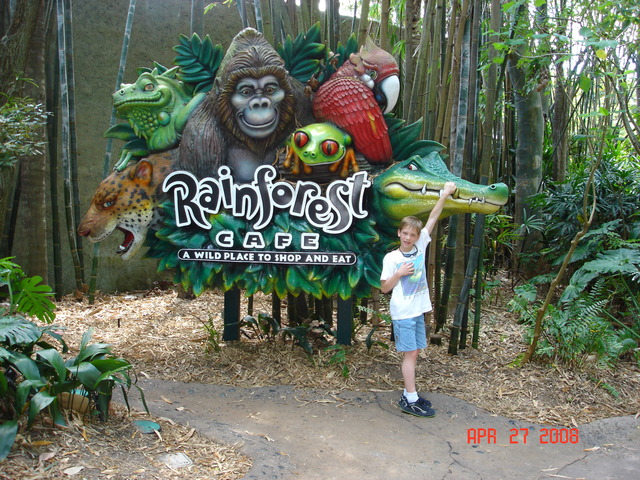 Went to Disney World