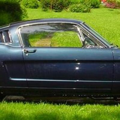 Timeline: How to restore your mustang. by Larry dobbs and Donald Farr. nonfic (130)
