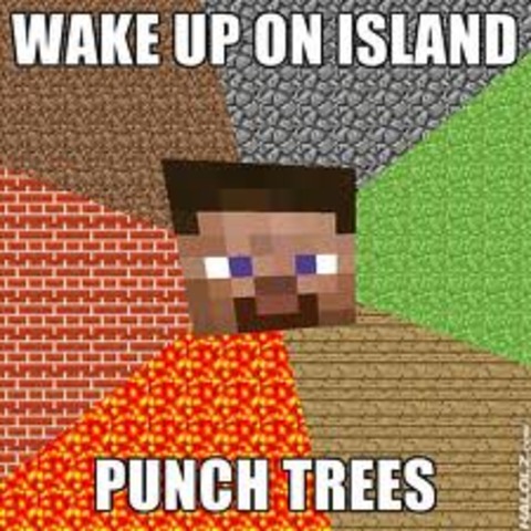 Got addicted to minecraft