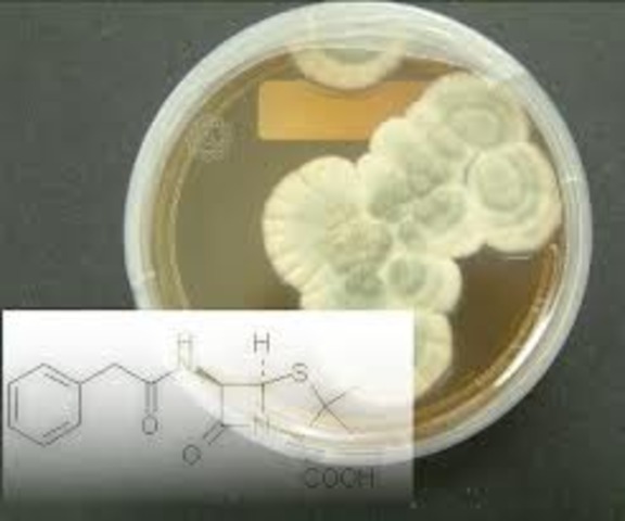 Penicillin was isolated