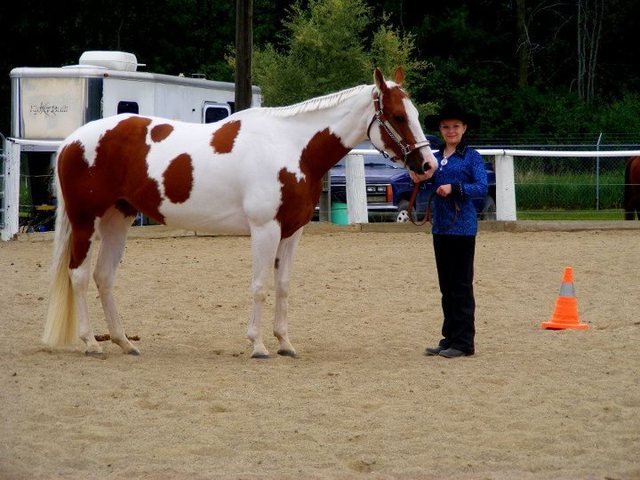 i got my own horse Brooke