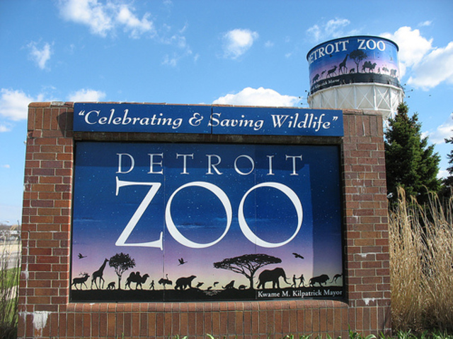 First time at Detroit Zoo