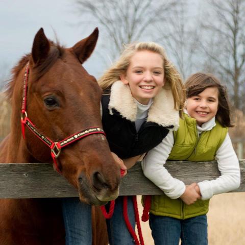 When i got my 2nd horse