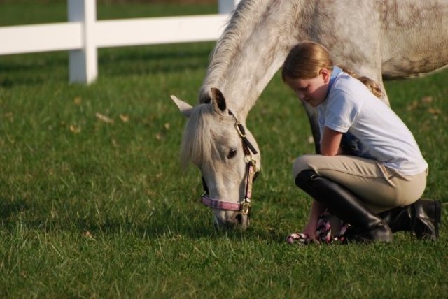 I got my first pony.