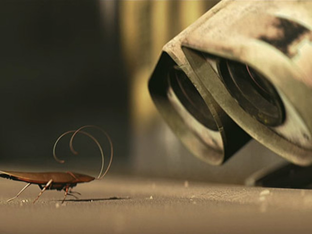 Cockroach introduced